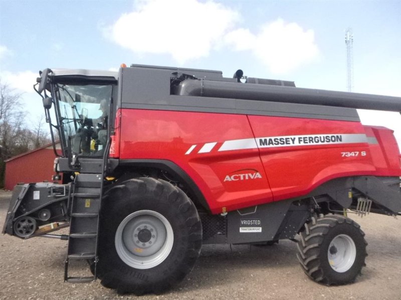 Mähdrescher des Typs Massey Ferguson VRIDSTED er køber til din FENDT & MF mejetærsker., Gebrauchtmaschine in Skive (Bild 1)