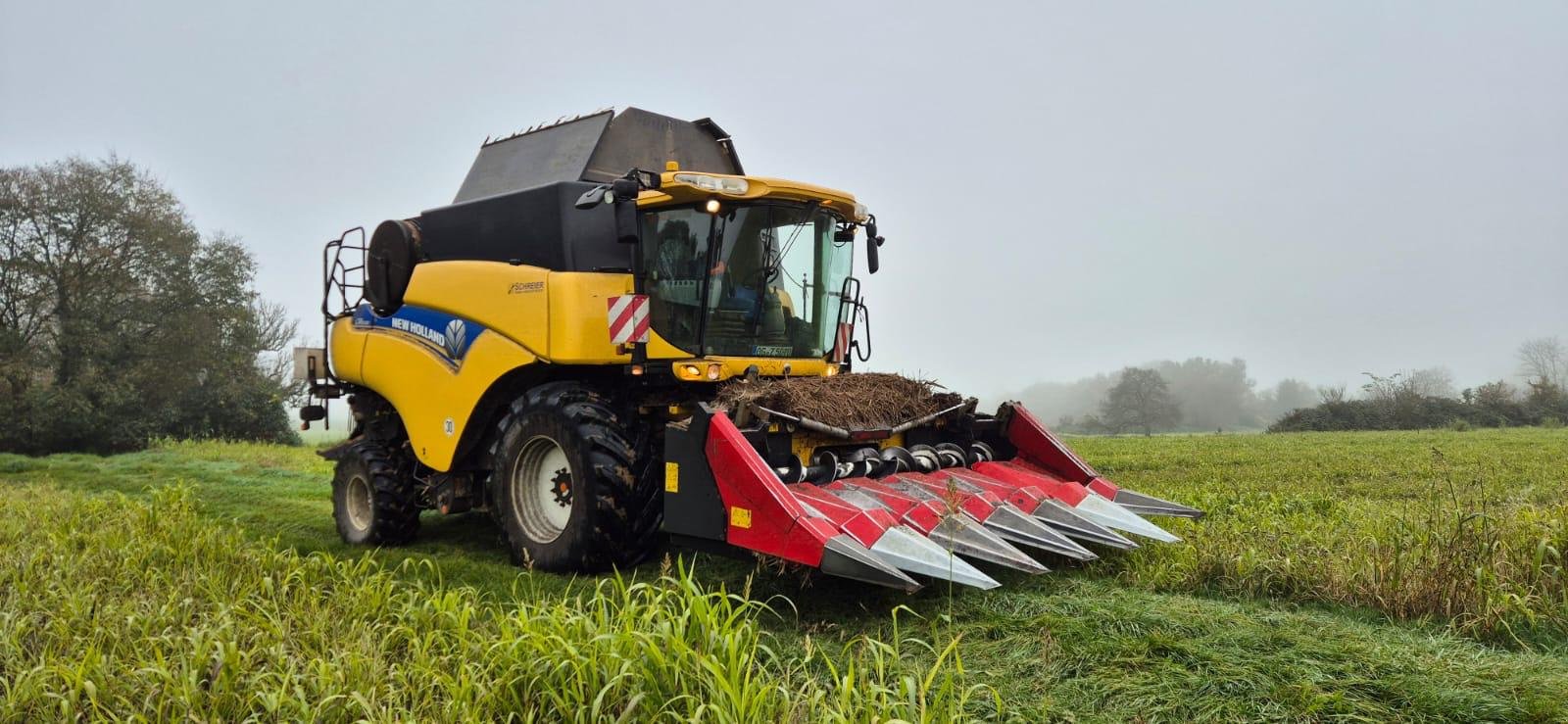 Mähdrescher du type New Holland CR 8080, Gebrauchtmaschine en Achern (Photo 2)