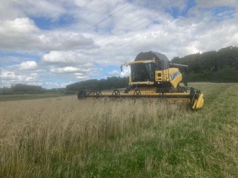 Mähdrescher van het type New Holland CR 980 1050er hjul og 30Fod 4 hjulstræk, Gebrauchtmaschine in Nørager (Foto 7)