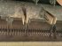 Mähdrescher typu New Holland cx 5090, Gebrauchtmaschine v MONFERRAN (Obrázok 7)