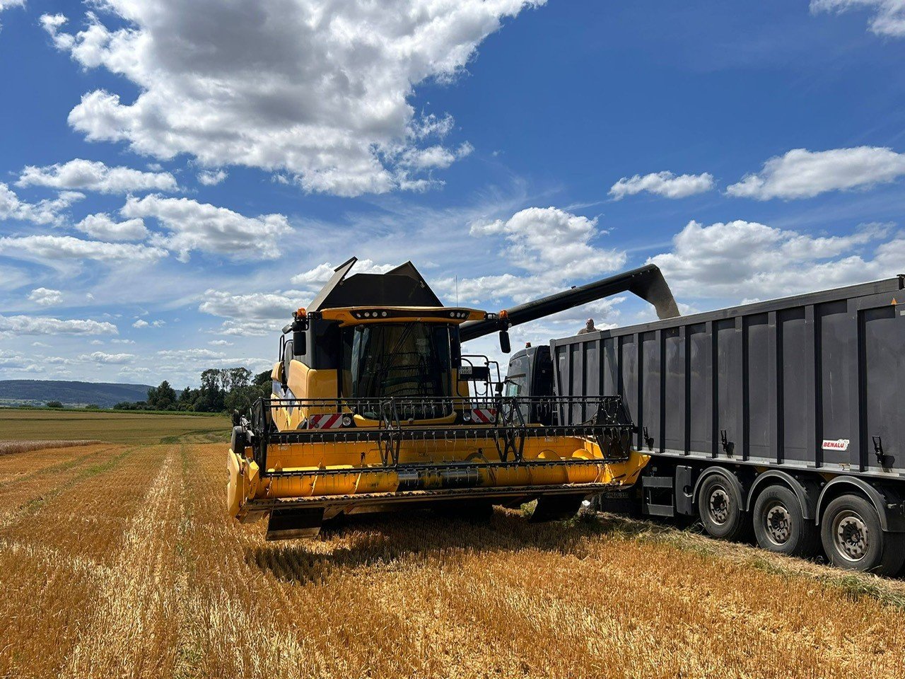 Mähdrescher a típus New Holland CX 5.80, Gebrauchtmaschine ekkor: Hessisch Oldendorf (Kép 1)