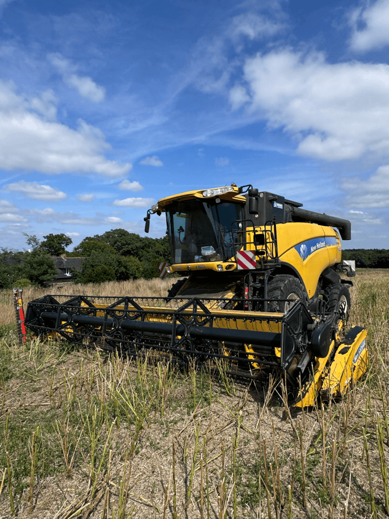 Mähdrescher типа New Holland CX 8060 SL HD, Gebrauchtmaschine в TREMEUR (Фотография 1)