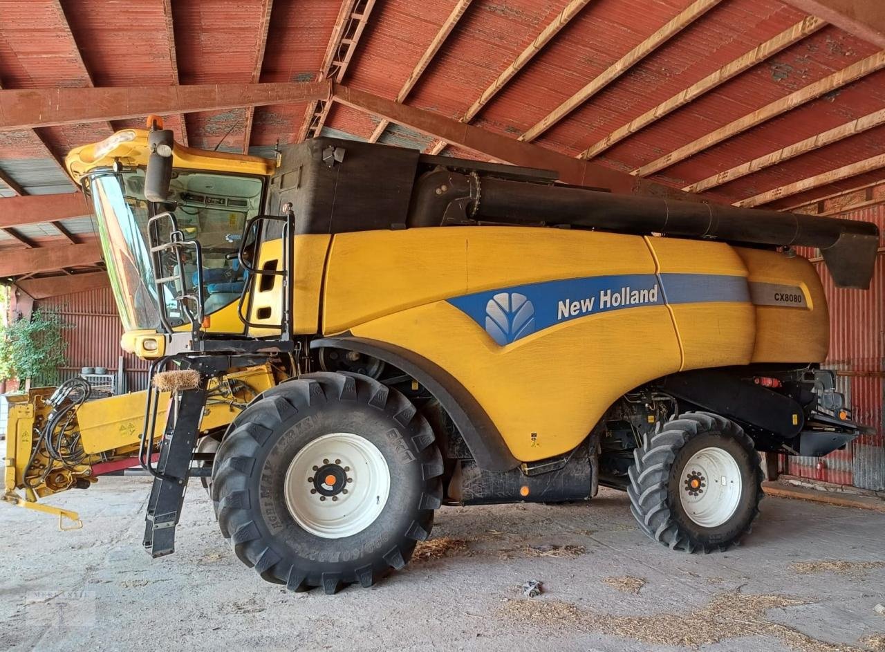 Mähdrescher tipa New Holland CX 8080, Gebrauchtmaschine u Pragsdorf (Slika 1)