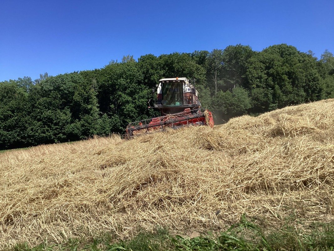 Mähdrescher typu New Holland L521 Integrale  Fiatagri  Laverda, Gebrauchtmaschine w Schutterzell (Zdjęcie 2)