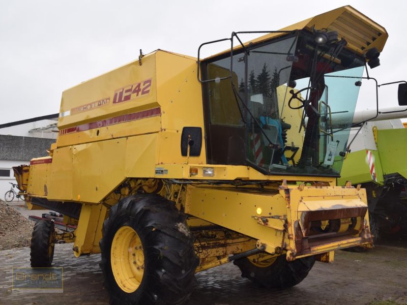 Mähdrescher del tipo New Holland TF 42, Gebrauchtmaschine In Oyten (Immagine 1)