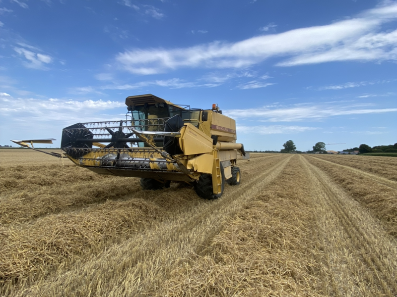 Mähdrescher typu New Holland TX 32, Gebrauchtmaschine v Oberottmarshausen (Obrázek 1)