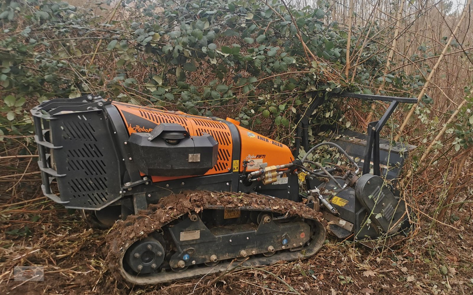 Mähraupe typu Energreen Robo Fifti, Gebrauchtmaschine w Kehrig (Zdjęcie 1)