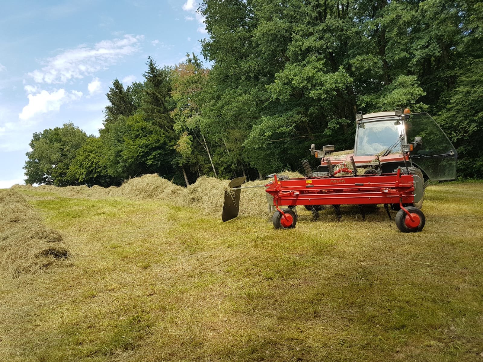 Mähtrak & Bergtrak des Typs Aebi Molon 230.5D.PRO AEBI, Gebrauchtmaschine in Zenting (Bild 4)