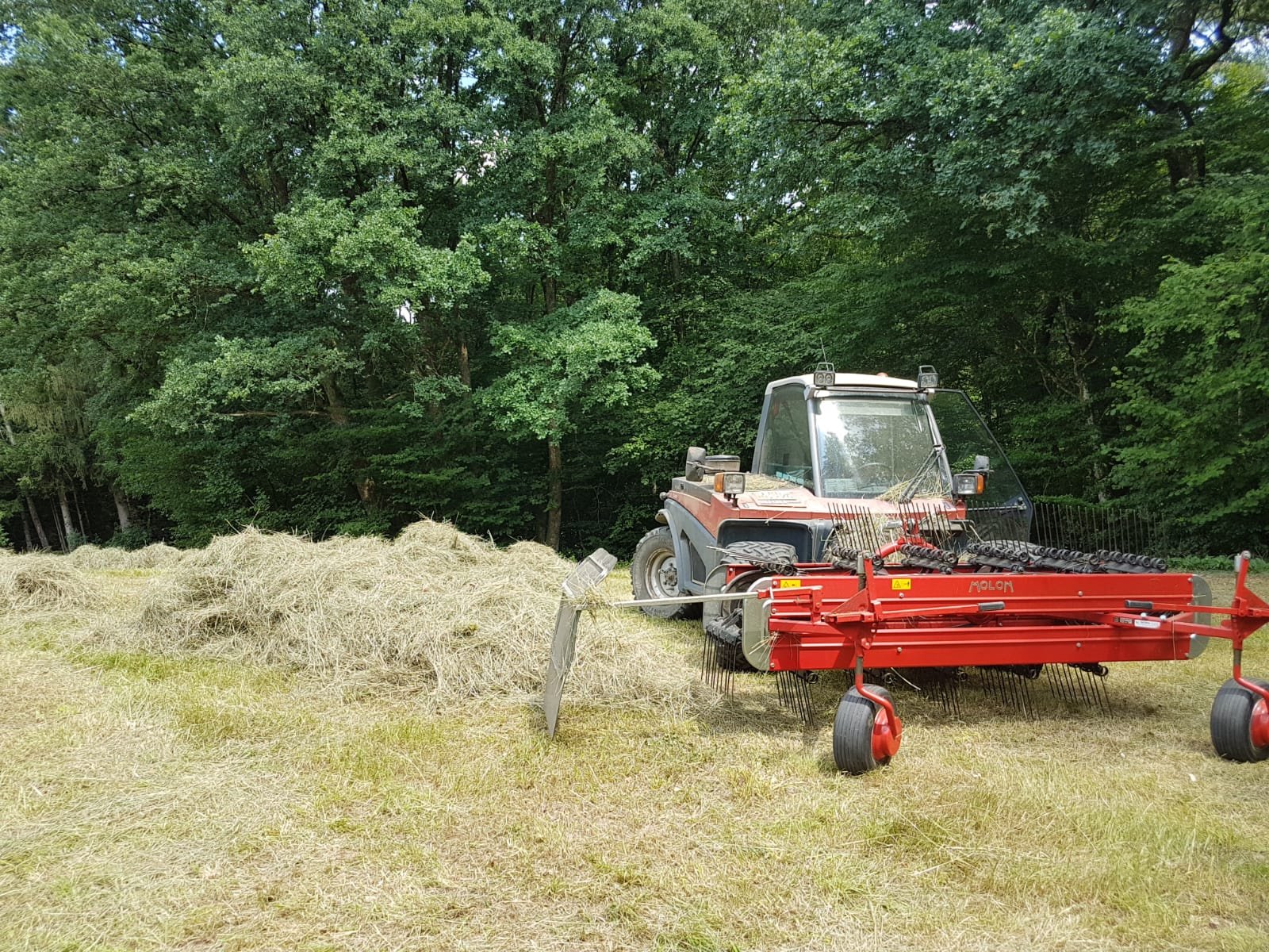 Mähtrak & Bergtrak des Typs Aebi Molon 230.5D.PRO AEBI, Gebrauchtmaschine in Zenting (Bild 5)