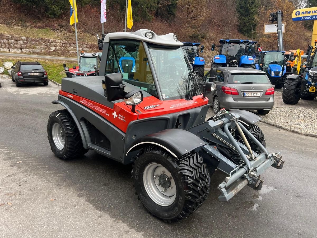 Mähtrak & Bergtrak tipa Aebi Terratrac TT275, Gebrauchtmaschine u Burgkirchen (Slika 11)