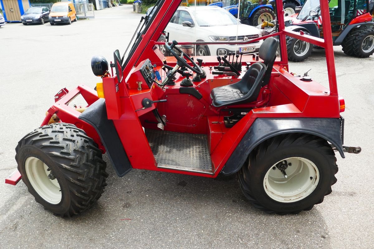 Mähtrak & Bergtrak typu Aebi TT 80, Gebrauchtmaschine v Villach (Obrázek 10)