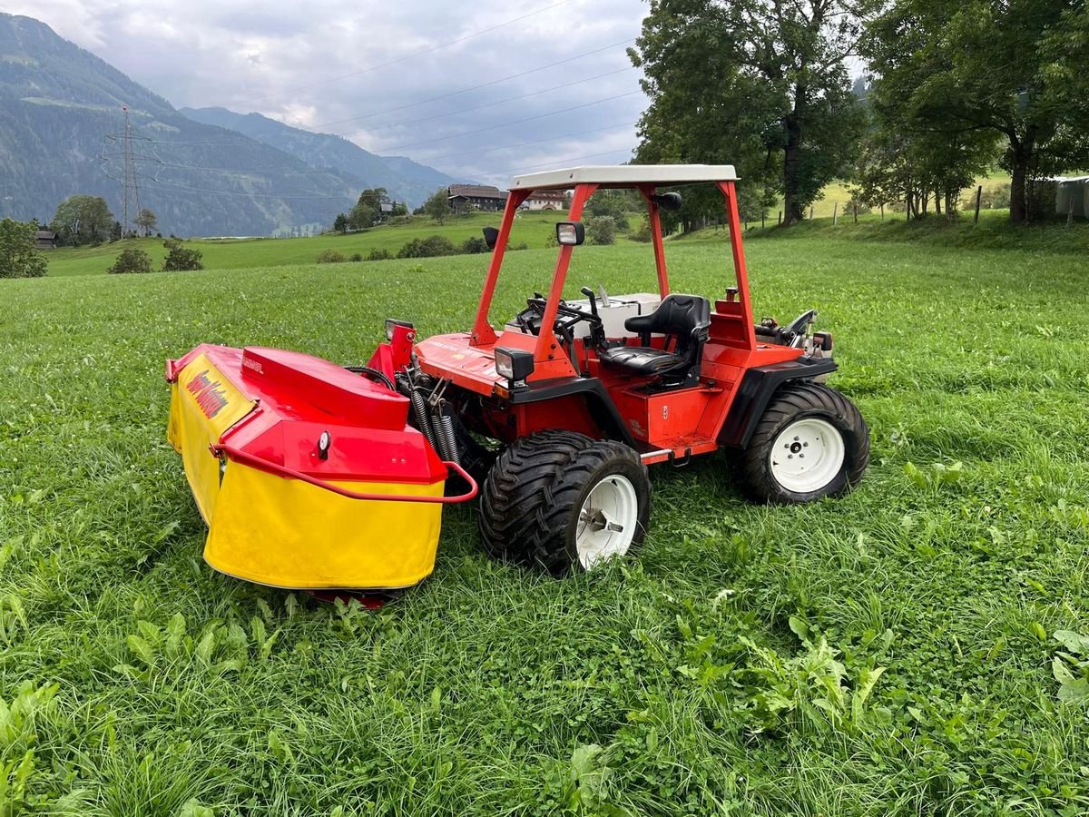 Mähtrak & Bergtrak van het type Reform 3003 S, Gebrauchtmaschine in Burgkirchen (Foto 1)