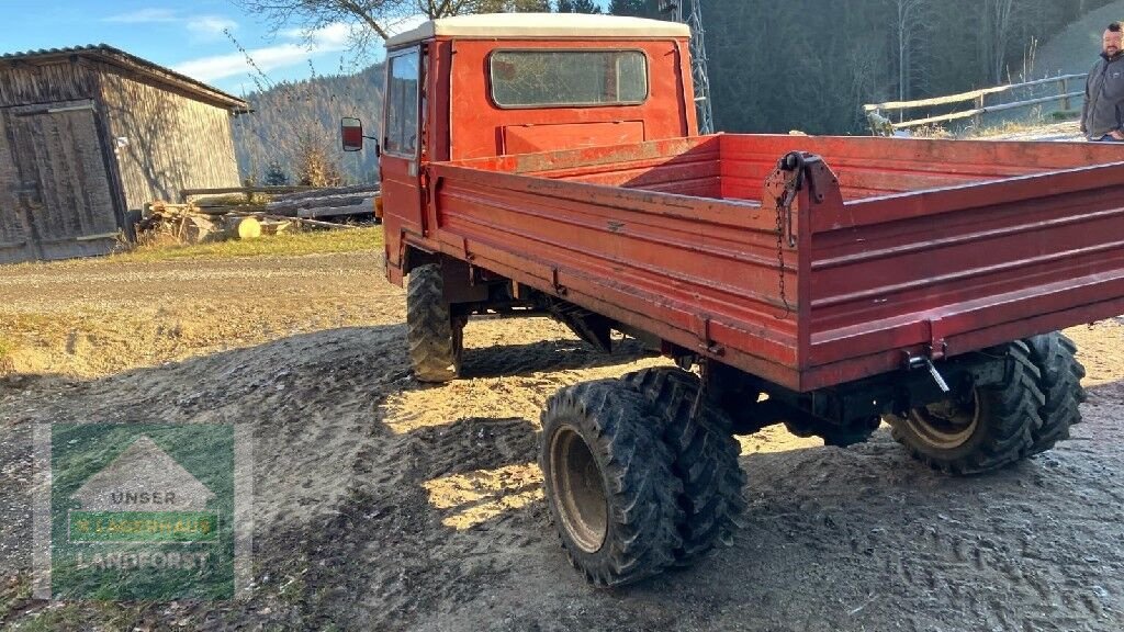 Mähtrak & Bergtrak van het type Reform Muli 50, Gebrauchtmaschine in Kapfenberg (Foto 11)