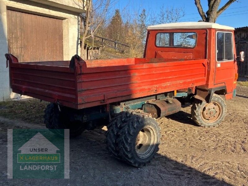 Mähtrak & Bergtrak van het type Reform Muli 50, Gebrauchtmaschine in Kapfenberg (Foto 1)