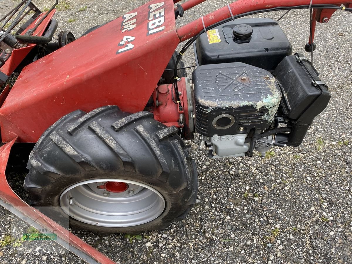 Mähwerk typu Aebi Eingrasmäher AM 41, Gebrauchtmaschine w Wartberg (Zdjęcie 5)