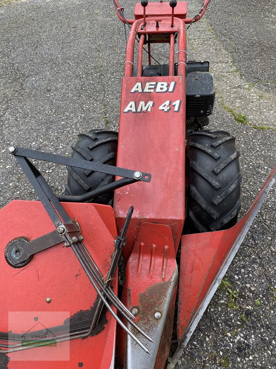 Mähwerk typu Aebi Eingrasmäher AM 41, Gebrauchtmaschine w Wartberg (Zdjęcie 2)