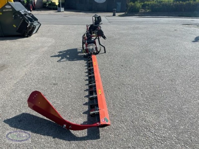 Mähwerk typu Bidux BB Seco Duplex 295 H-R, Neumaschine v Münzkirchen (Obrázek 4)