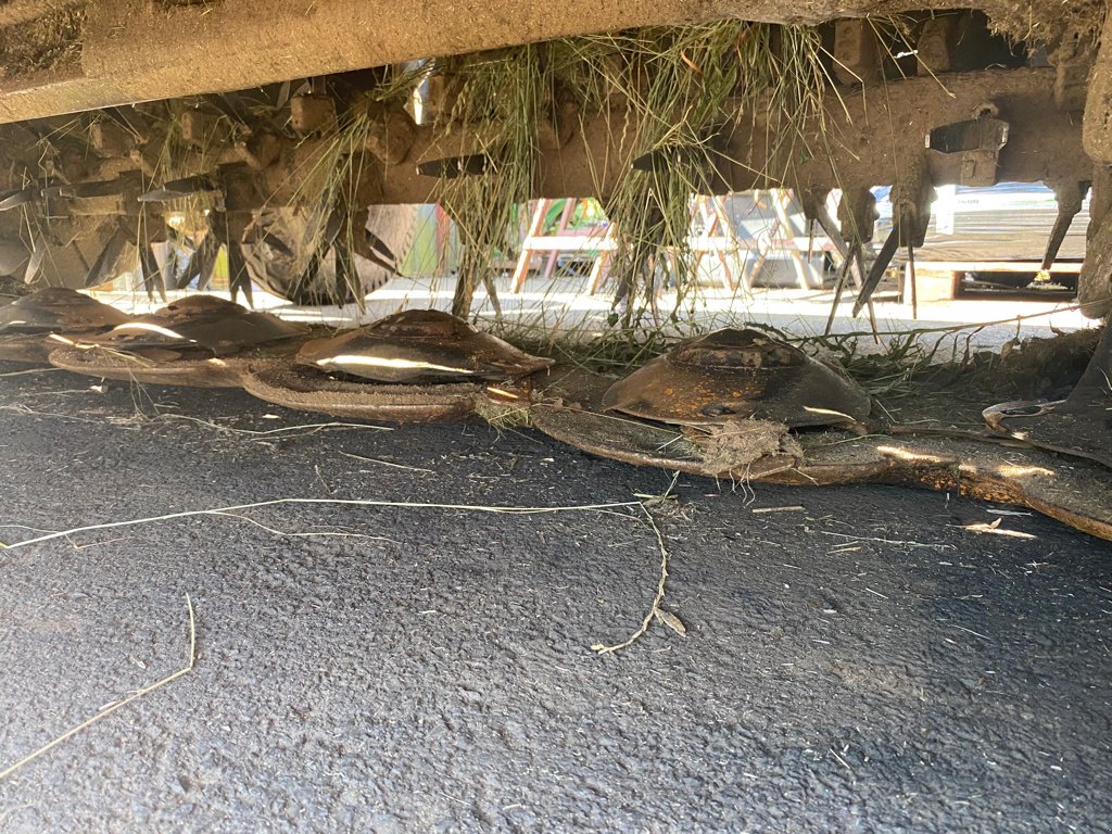 Mähwerk des Typs CLAAS DISCO 3000TC (  DESTOCKAGE ), Gebrauchtmaschine in MAURIAC (Bild 9)