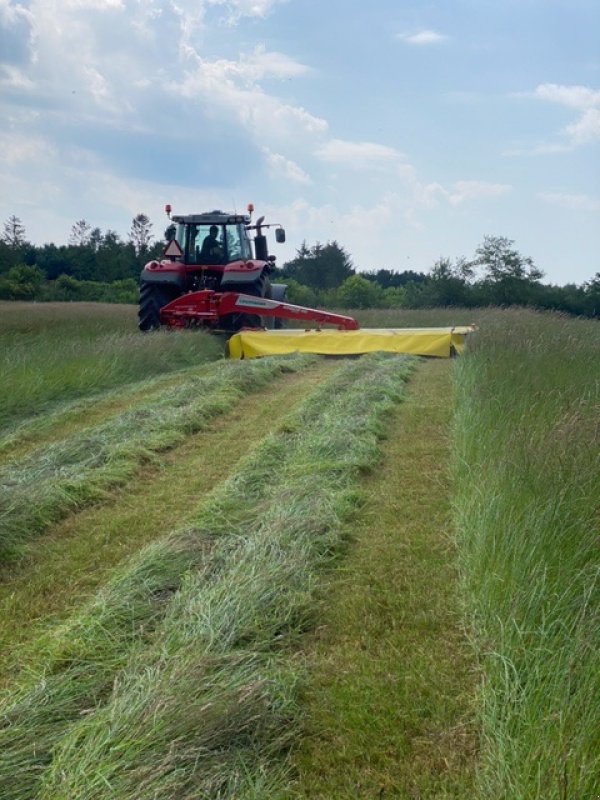 Mähwerk van het type Pöttinger Novacat 442 Klar til levering med/uden frøudstyr., Gebrauchtmaschine in Gram (Foto 2)