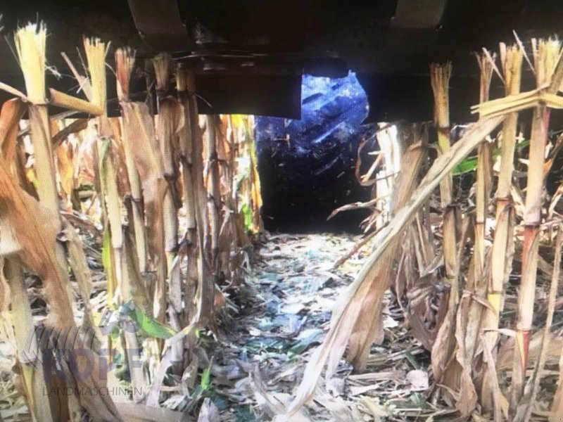 Maisausrüstung des Typs CLAAS Lexion TT Umbausatz Mais Fahrwerk, Gebrauchtmaschine in Schutterzell (Bild 2)