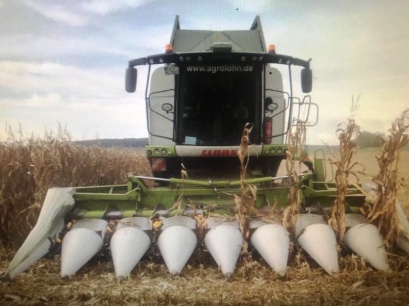 Maisausrüstung a típus CLAAS Lexion TT Umbausatz Mais Fahrwerk, Gebrauchtmaschine ekkor: Schutterzell (Kép 1)