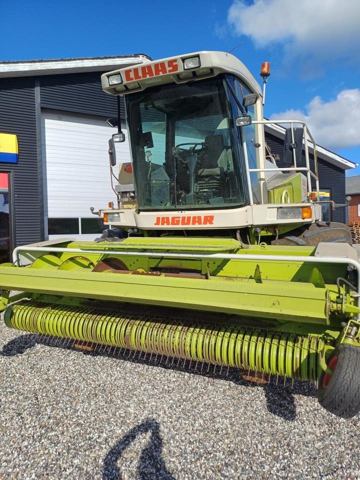 Maisgebiß of the type CLAAS JAGUAR 880, Gebrauchtmaschine in Skjern (Picture 5)