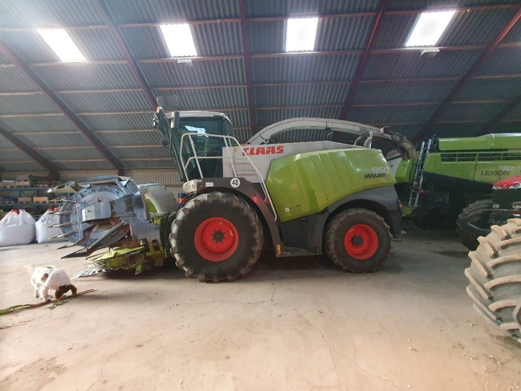 Maisgebiß des Typs CLAAS Jaguar 950, Gebrauchtmaschine in Ringe (Bild 1)