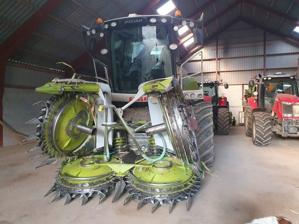 Maisgebiß van het type CLAAS Jaguar 950, Gebrauchtmaschine in Ringe (Foto 2)