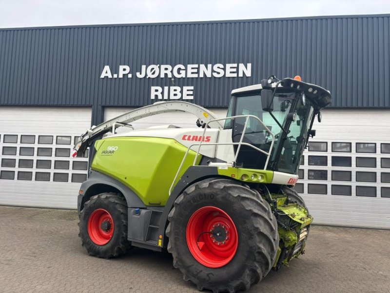 Maisgebiss del tipo CLAAS Jaguar 960 4WD, Gebrauchtmaschine In Ribe