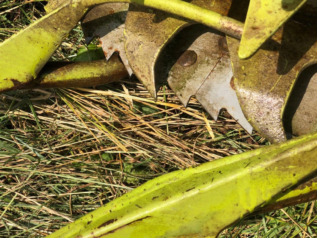 Maisgebiß typu CLAAS Orbis 450, Gebrauchtmaschine v Ebersbach (Obrázok 5)