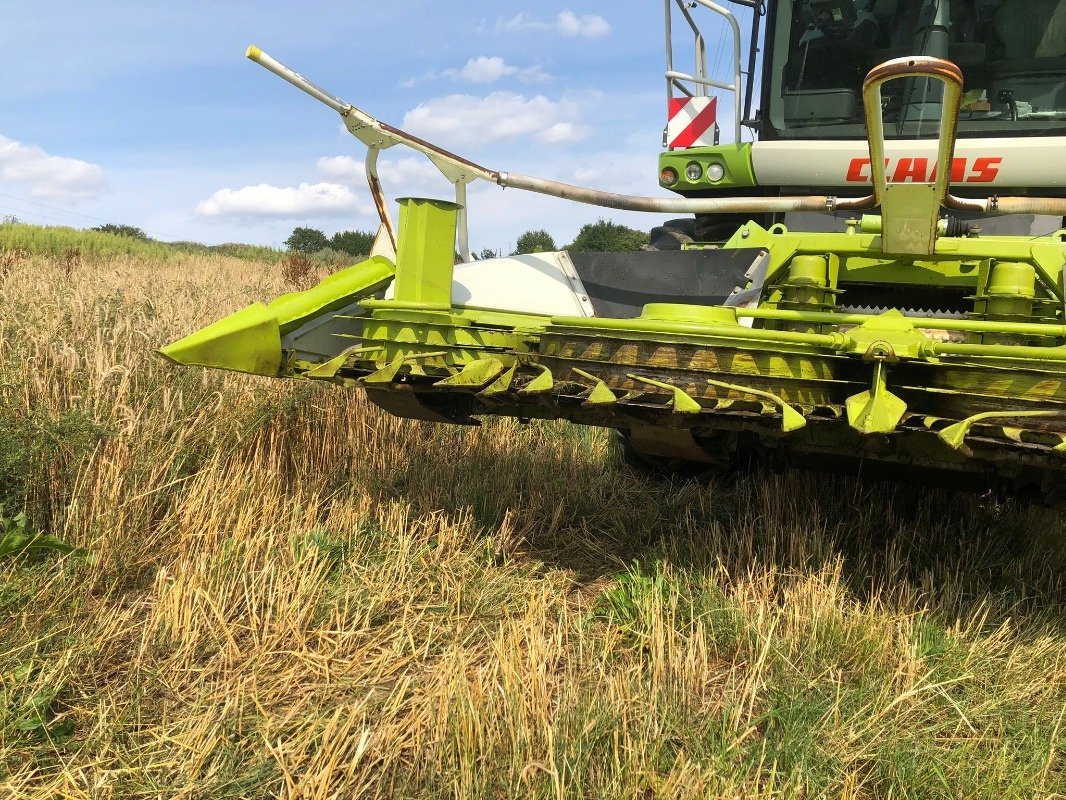 Maisgebiss типа CLAAS Orbis 450, Gebrauchtmaschine в Ebersbach (Фотография 3)