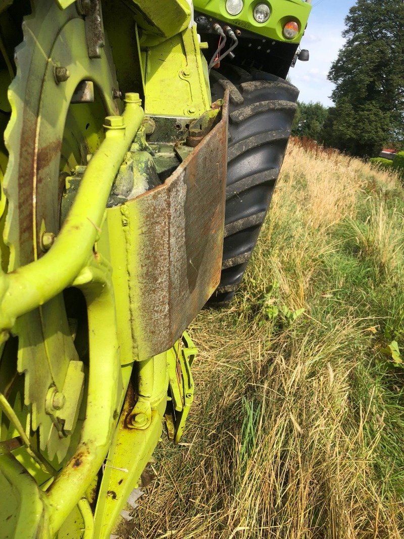 Maisgebiß типа CLAAS Orbis 450, Gebrauchtmaschine в Ebersbach (Фотография 12)