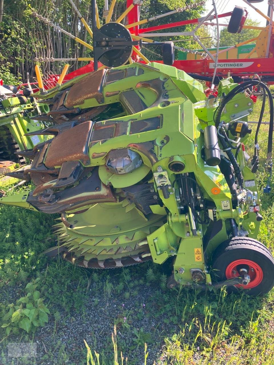 Maisgebiß des Typs CLAAS Orbis 600 SD AC AP Demo, Gebrauchtmaschine in Pragsdorf (Bild 4)