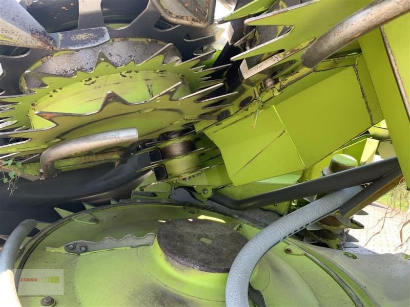 Maisgebiß del tipo CLAAS ORBIS 600 SD, Vorführmaschine en Hutthurm (Imagen 12)