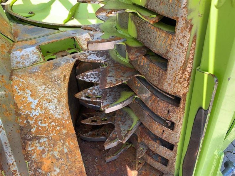 Maisgebiß van het type CLAAS ORBIS 600 SD, Gebrauchtmaschine in Hutthurm (Foto 15)