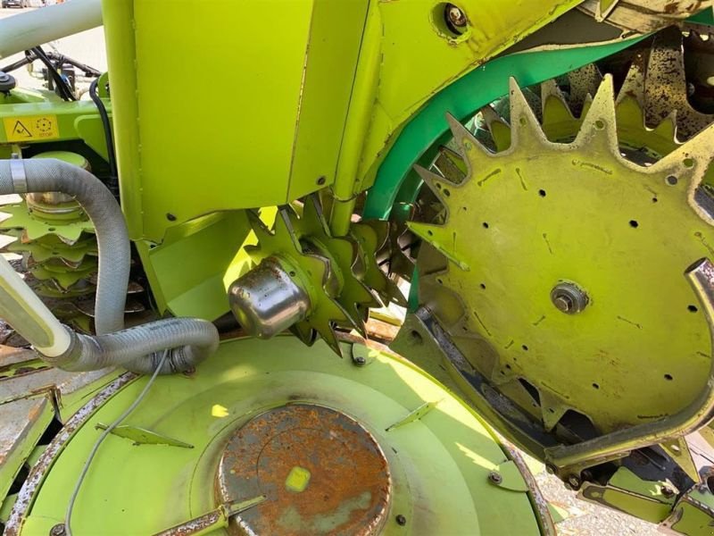 Maisgebiß za tip CLAAS ORBIS 600 SD, Gebrauchtmaschine u Hutthurm (Slika 10)