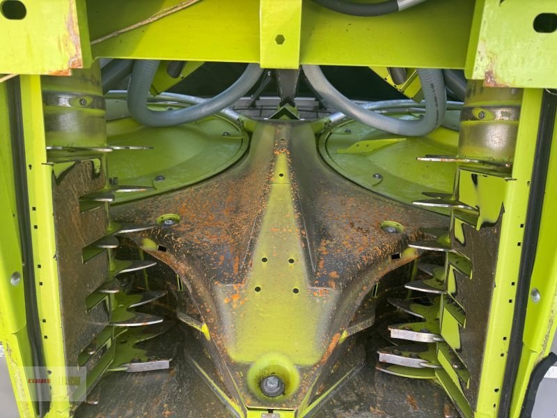 Maisgebiß of the type CLAAS ORBIS 600, Vorführmaschine in Töging am Inn (Picture 8)