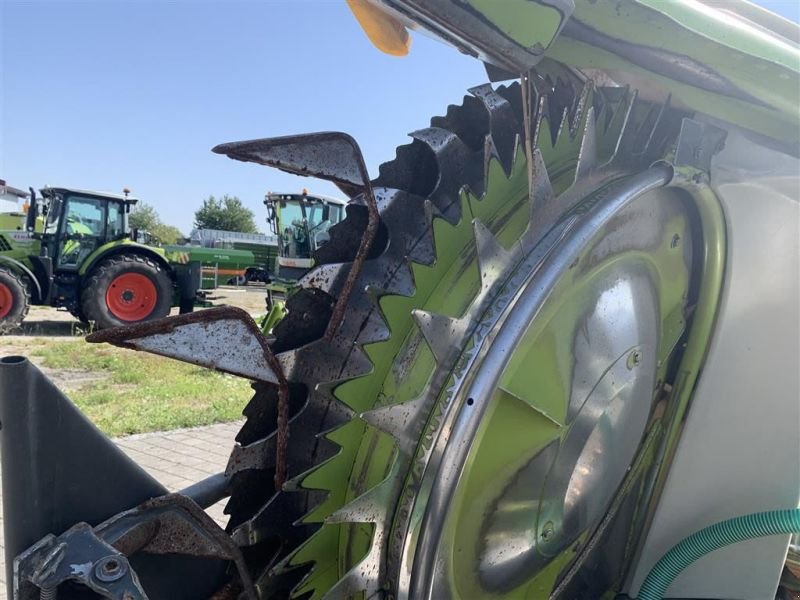 Maisgebiß van het type CLAAS ORBIS 600, Gebrauchtmaschine in Töging a. Inn (Foto 13)