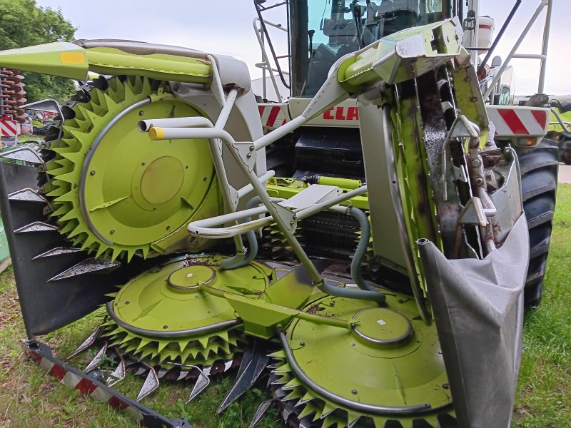 Maisgebiß типа CLAAS Orbis 600, Gebrauchtmaschine в Hollenbach (Фотография 1)