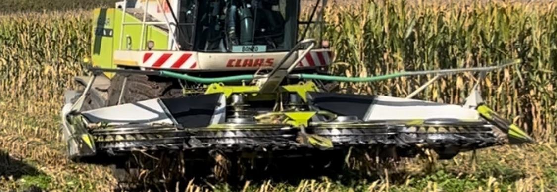 Maisgebiß van het type CLAAS Orbis 600, Gebrauchtmaschine in Ramerberg (Foto 3)