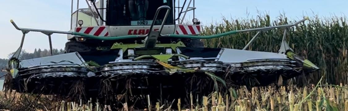 Maisgebiß tip CLAAS Orbis 600, Gebrauchtmaschine in Ramerberg (Poză 4)