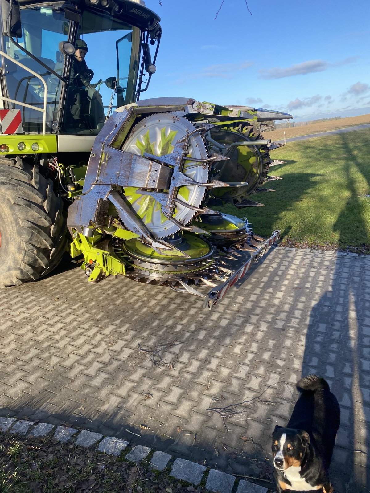 Maisgebiss del tipo CLAAS Orbis 600, Gebrauchtmaschine en Wurmannsquick (Imagen 1)