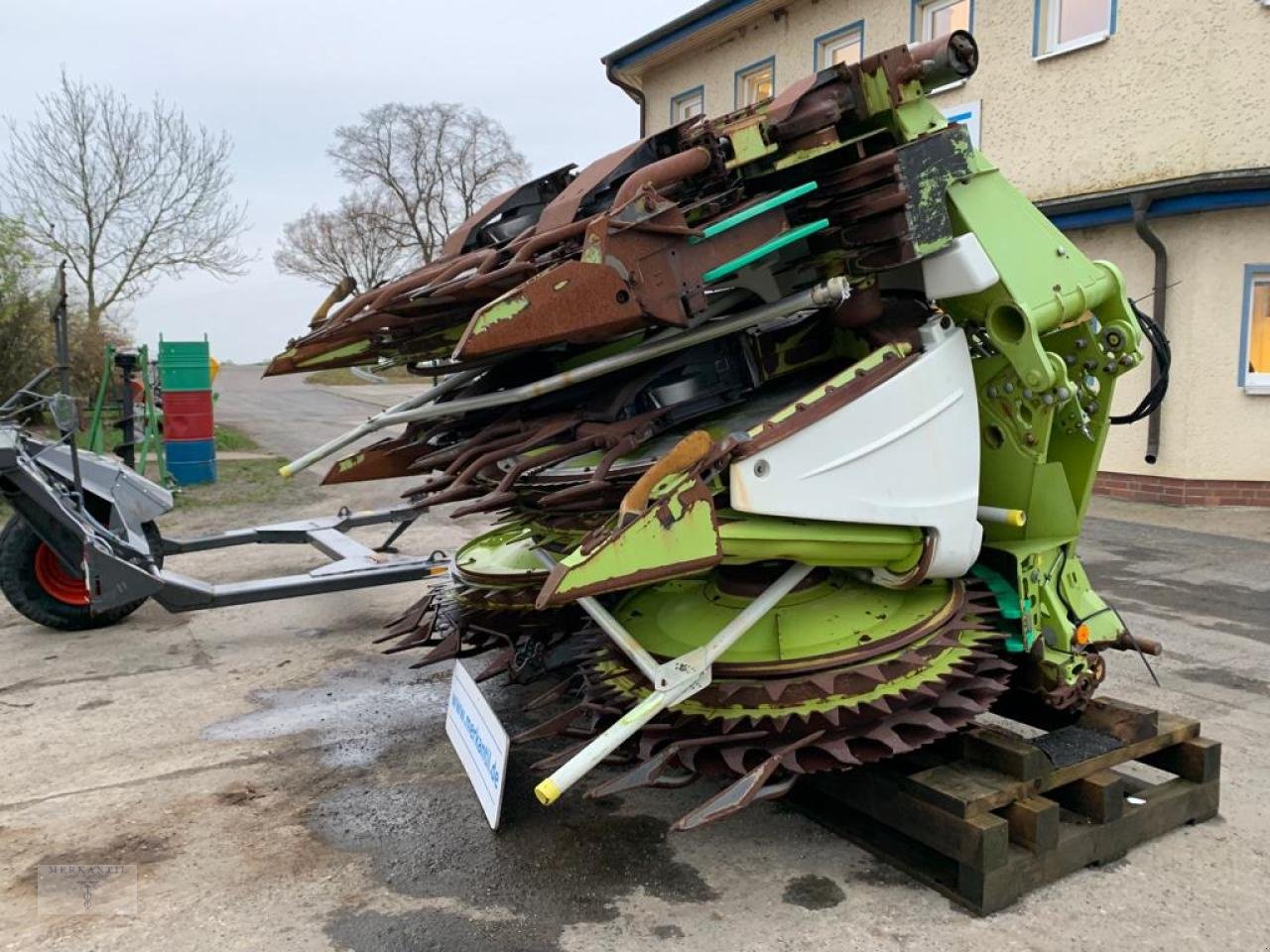 Maisgebiß typu CLAAS Orbis 750 AC TS Pro C, Gebrauchtmaschine v Pragsdorf (Obrázek 2)