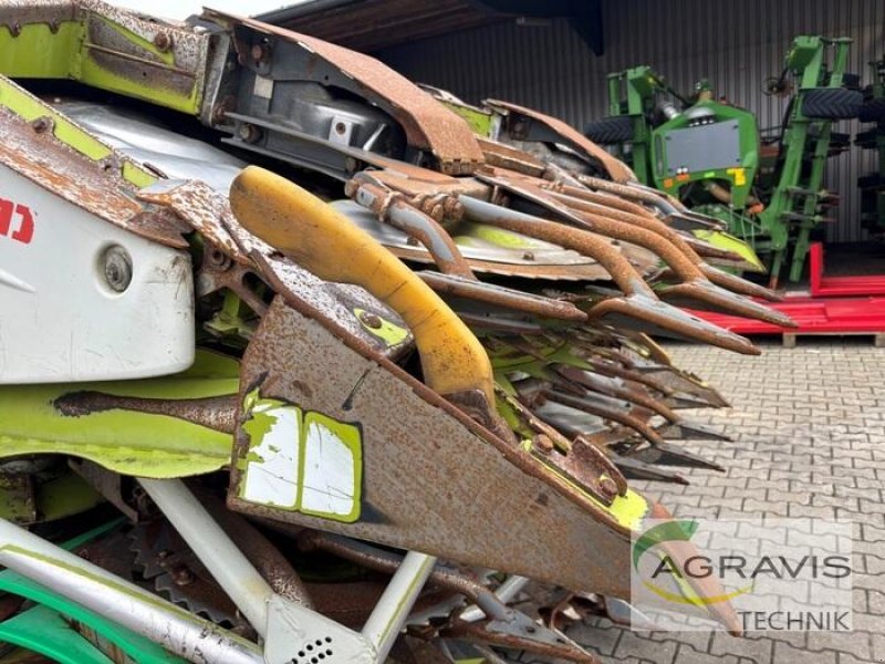 Maisgebiss des Typs CLAAS ORBIS 750, Gebrauchtmaschine in Meppen (Bild 9)