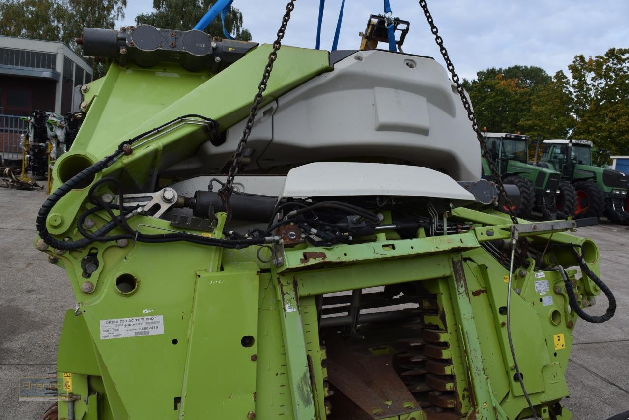 Maisgebiss tip CLAAS Orbis 750, Gebrauchtmaschine in Oyten (Poză 2)