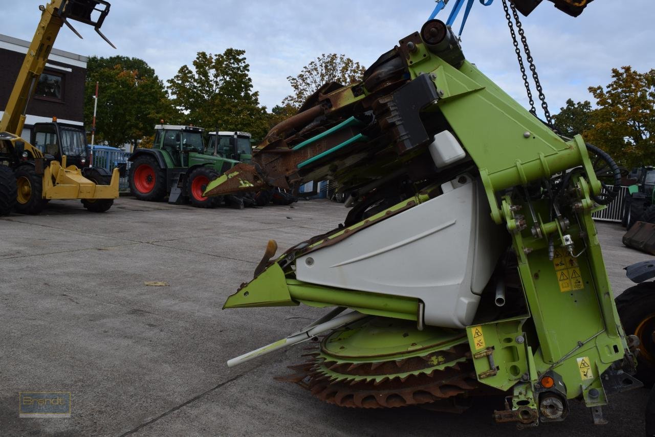 Maisgebiß des Typs CLAAS Orbis 750, Gebrauchtmaschine in Oyten (Bild 5)