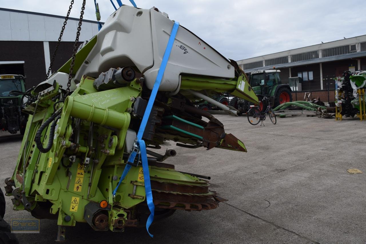 Maisgebiß van het type CLAAS Orbis 750, Gebrauchtmaschine in Oyten (Foto 6)