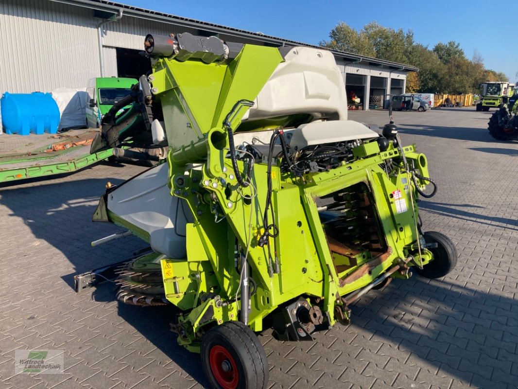 Maisgebiss del tipo CLAAS Orbis 750, Gebrauchtmaschine en Rhede / Brual (Imagen 1)