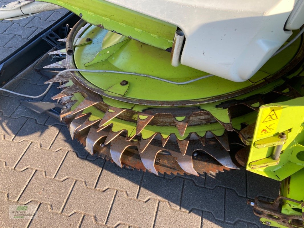 Maisgebiß van het type CLAAS Orbis 750, Gebrauchtmaschine in Rhede / Brual (Foto 5)