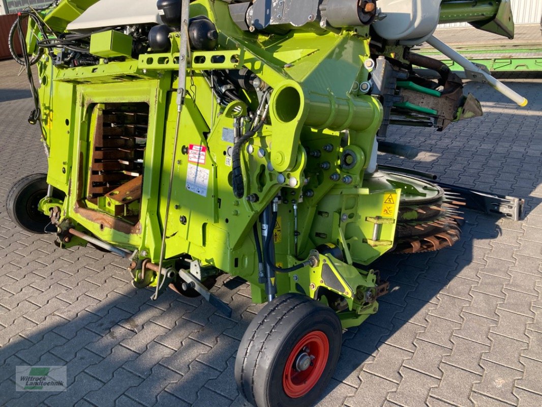 Maisgebiß des Typs CLAAS Orbis 750, Gebrauchtmaschine in Rhede / Brual (Bild 2)